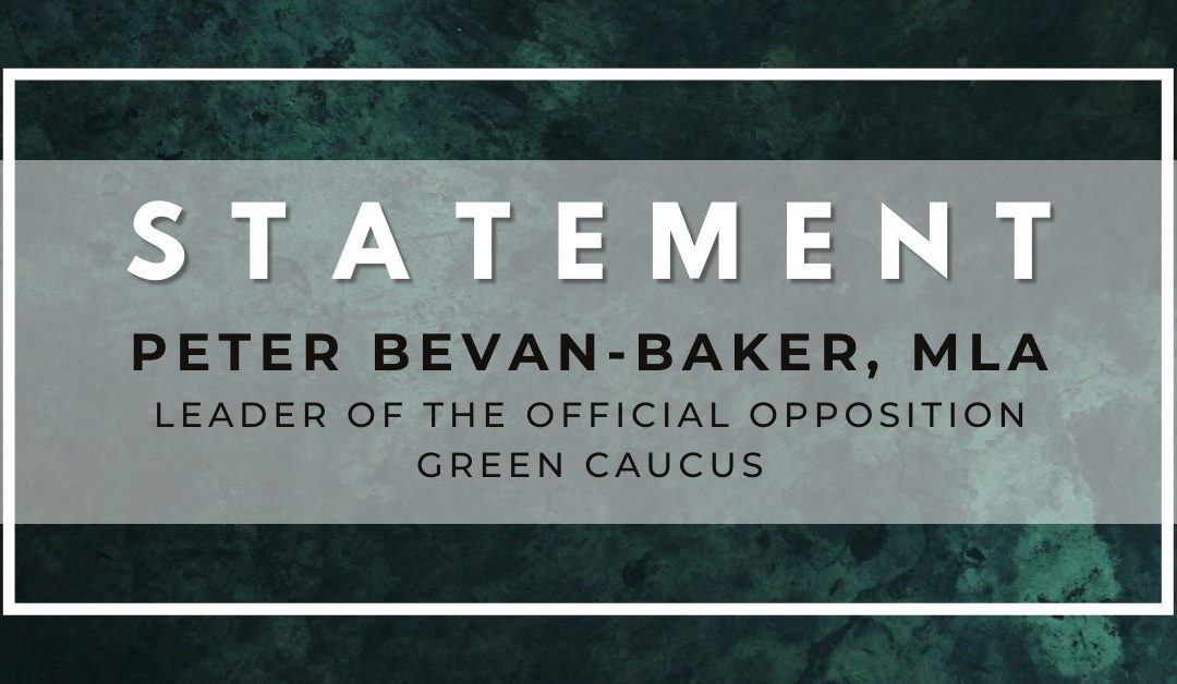 Peter Bevan-Baker, Leader of the Official Opposition, and Amita Kuttner, Interim Leader of the Green Party of Canada, call on federal government to step up inflation relief for Islanders and all Canadians