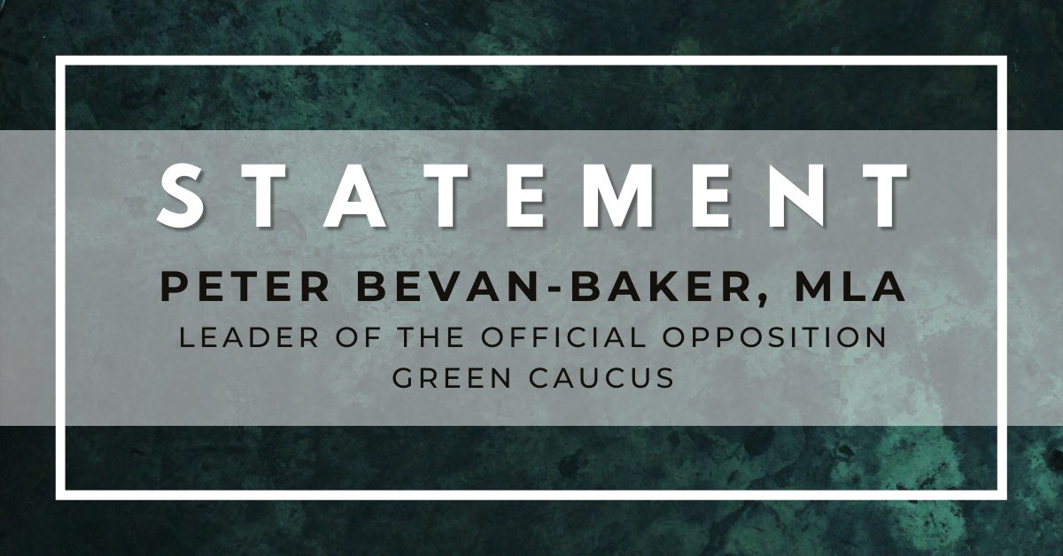 Statement by Peter Bevan-Baker, Leader of the Official Opposition Green Caucus over a green background