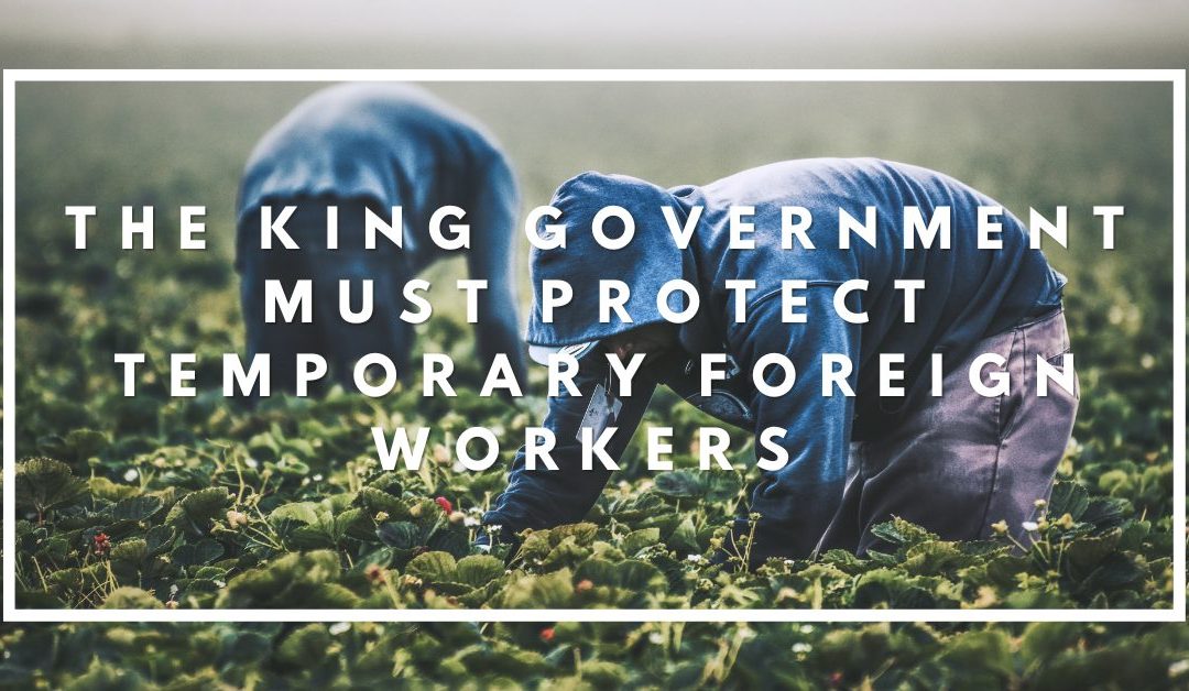 Recent news stories clearly show why the King government needs to protect temporary foreign workers